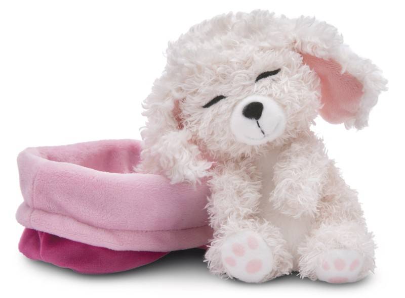 NICI Kuscheltier Sleeping Pets weißer Pudel 12cm im Körbchen NICI GREEN Bis zu 50% Rabatt