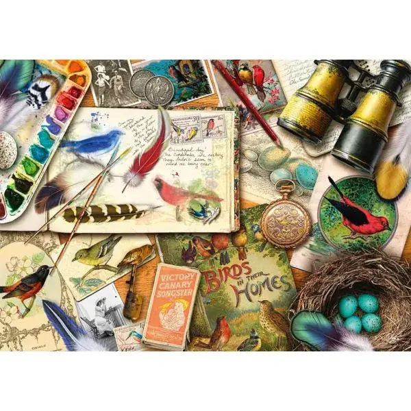 Schmidt Spiele Aimee Stewart: Aufgetischt: Vogelbeobachtung, 1.000 Teile Puzzle Preisnachlass