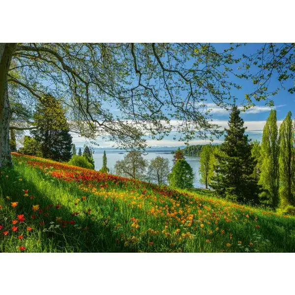 Schmidt Spiele Frühlingsallee zur Tulpenblüte, Insel Mainau, 1.000 Teile Puzzle Schlussverkauf