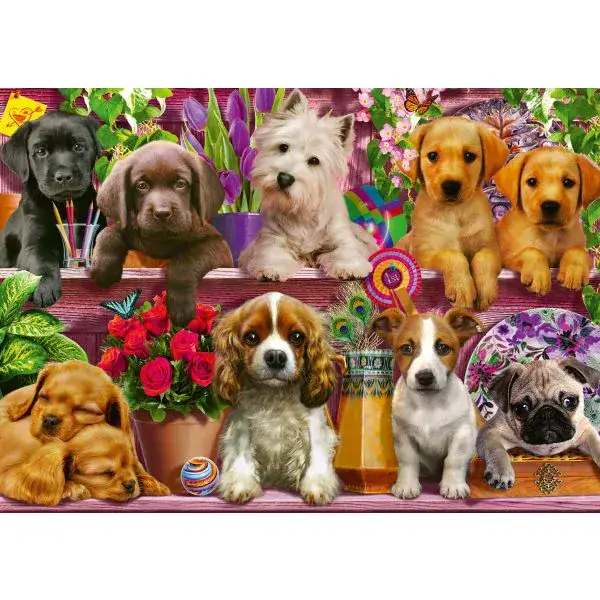 Schmidt Spiele Hunde im Regal, 500 Teile Puzzle Versandkostenfrei
