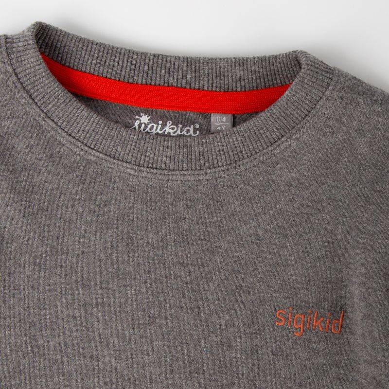 Sigikid Graumeliertes Kinder Langarmshirt Polarschiff Cyber Monday