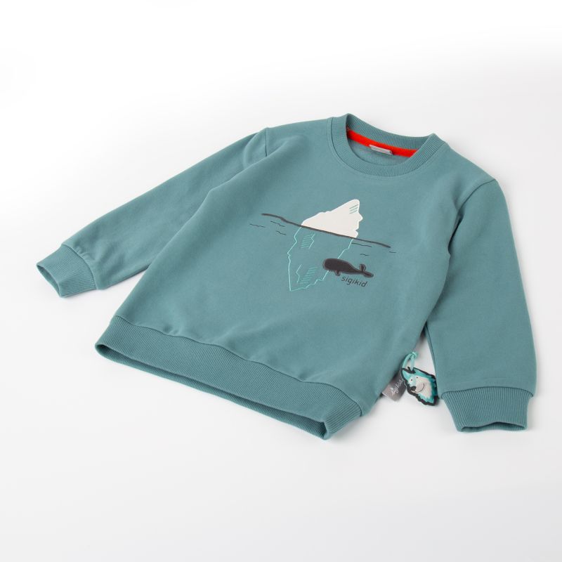 Sigikid Kinder Sweatshirt Polar Expedition, türkis Auslauf