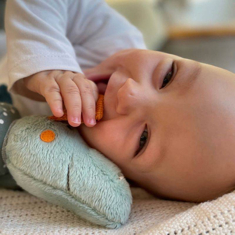 Sigikid Baby Aktiv Klettdrache Jubiläumsangebot