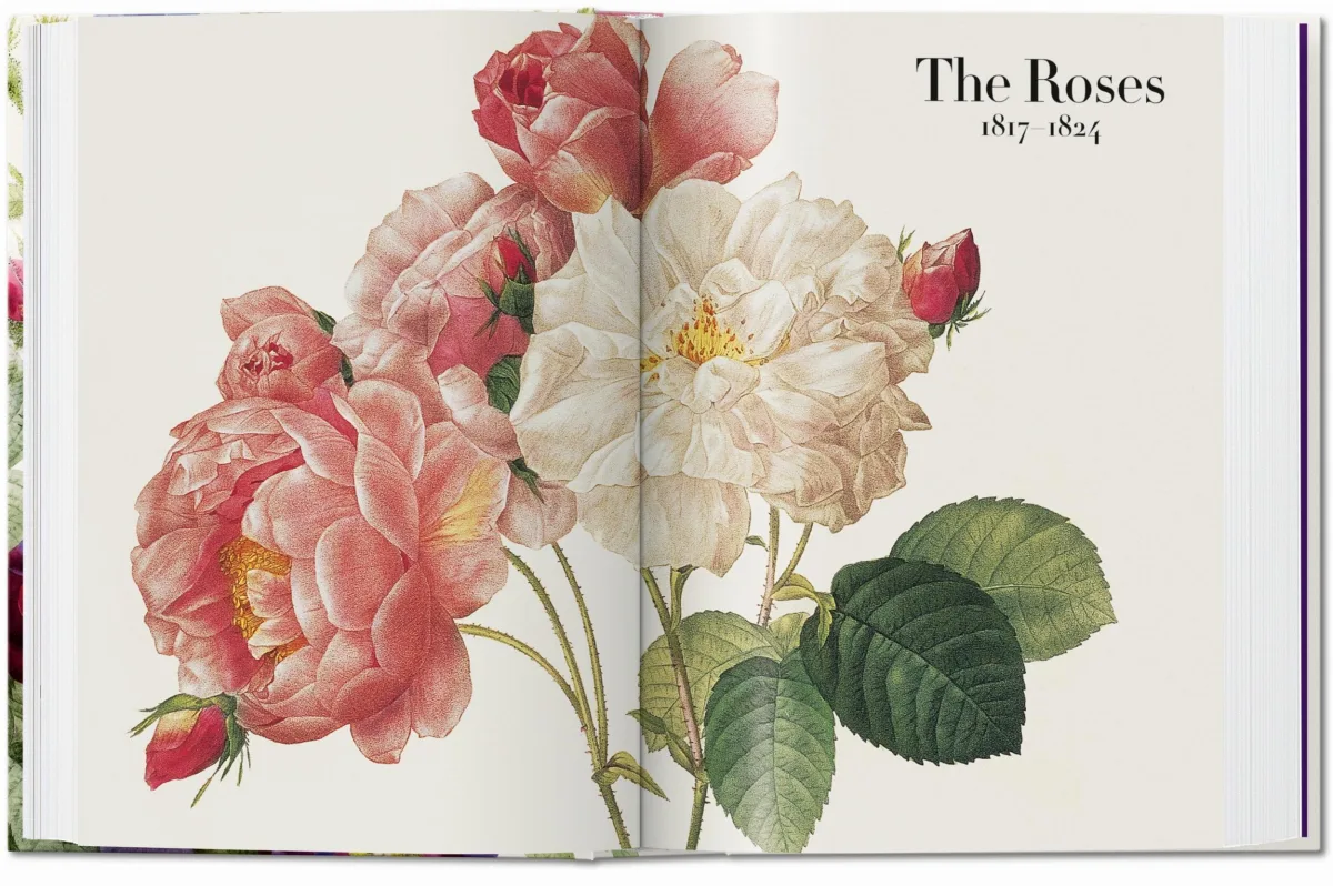 TASCHEN Redouté. The Book of Flowers. 40th Ed Bis zu 65% Rabatt