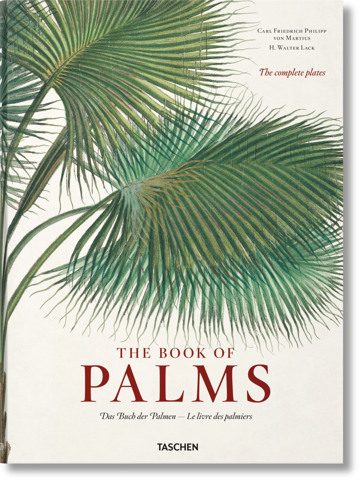 TASCHEN Martius. The Book of Palms Exklusive Angebote