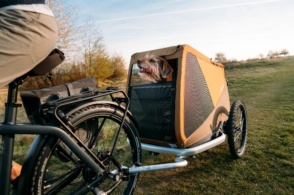 babymarkt Hundefahrradanhänger Dog Mikke Moss green Günstiger Verkauf