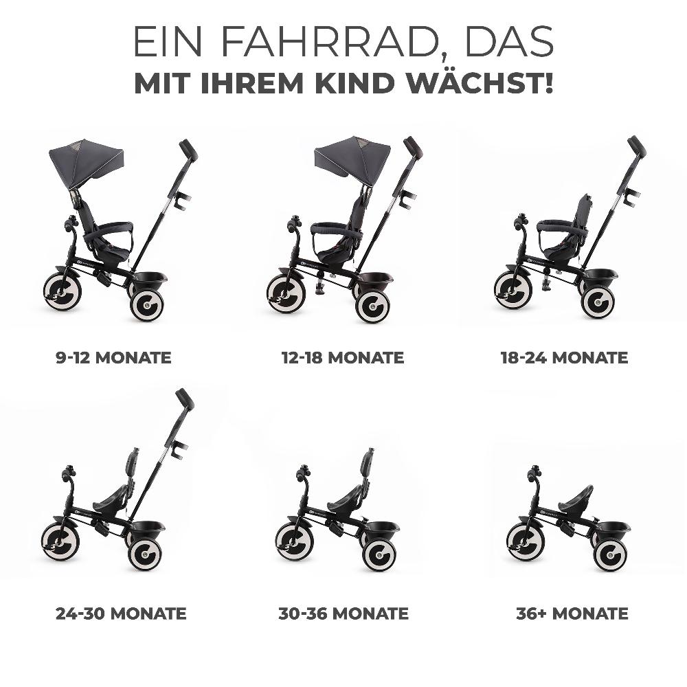 babymarkt Dreirad Aston grau Online Shopping
