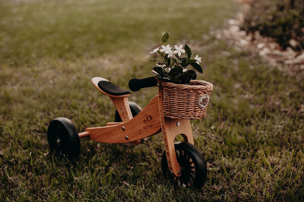 babymarkt 2-in-1 Dreirad Tiny Tot Plus Bambus zollfrei