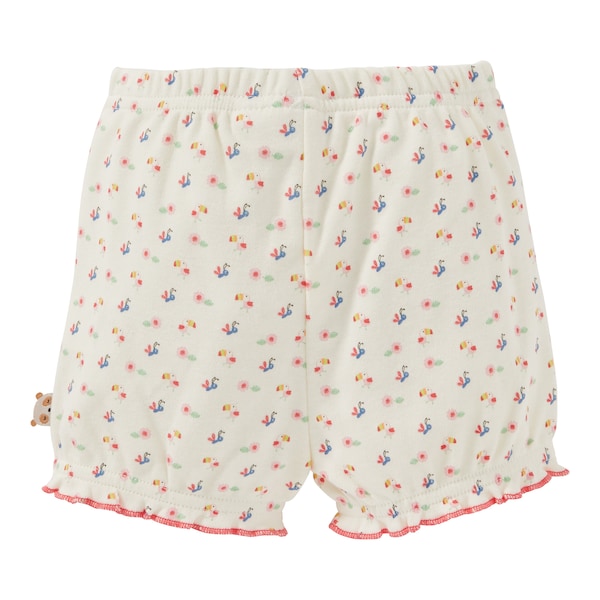 babywalz Bornino - Koala and PandaShorts Tukan Neuheiten