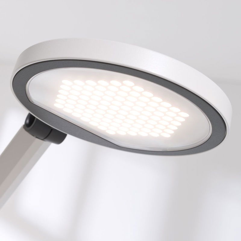 babyonlineshop Paidi Schreibtischleuchte Para.Mi LED-Leuchte mit stufenloser Dimmfunktion Heißer Verkauf